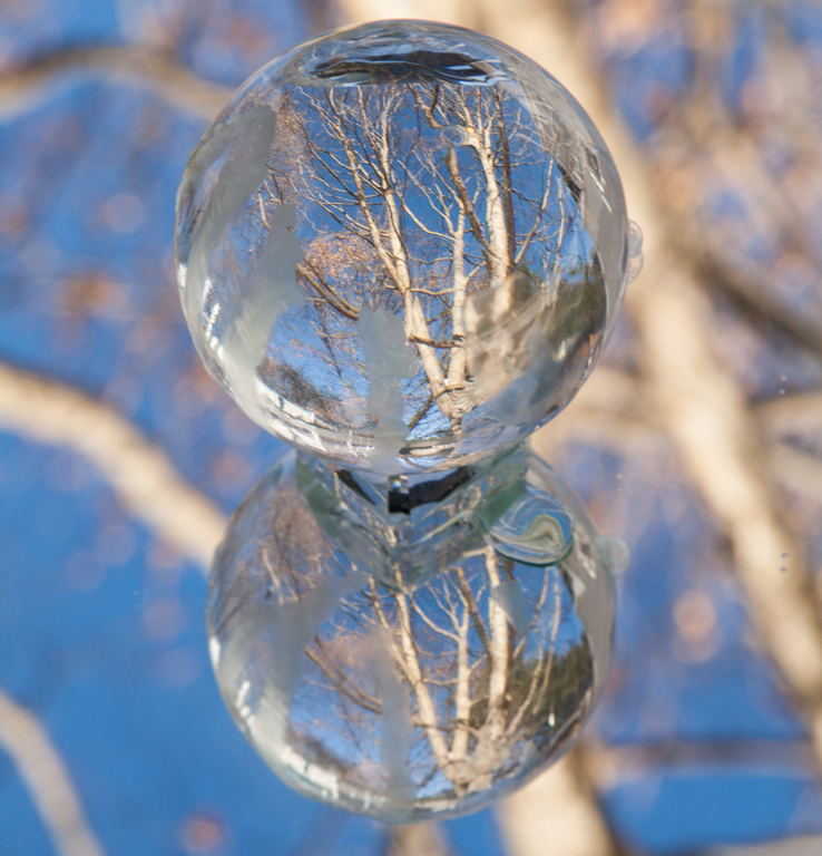 Digital Open In Class B By Diana Diliberto For Icy Ball Looking At The Trees SEP-2018.jpg